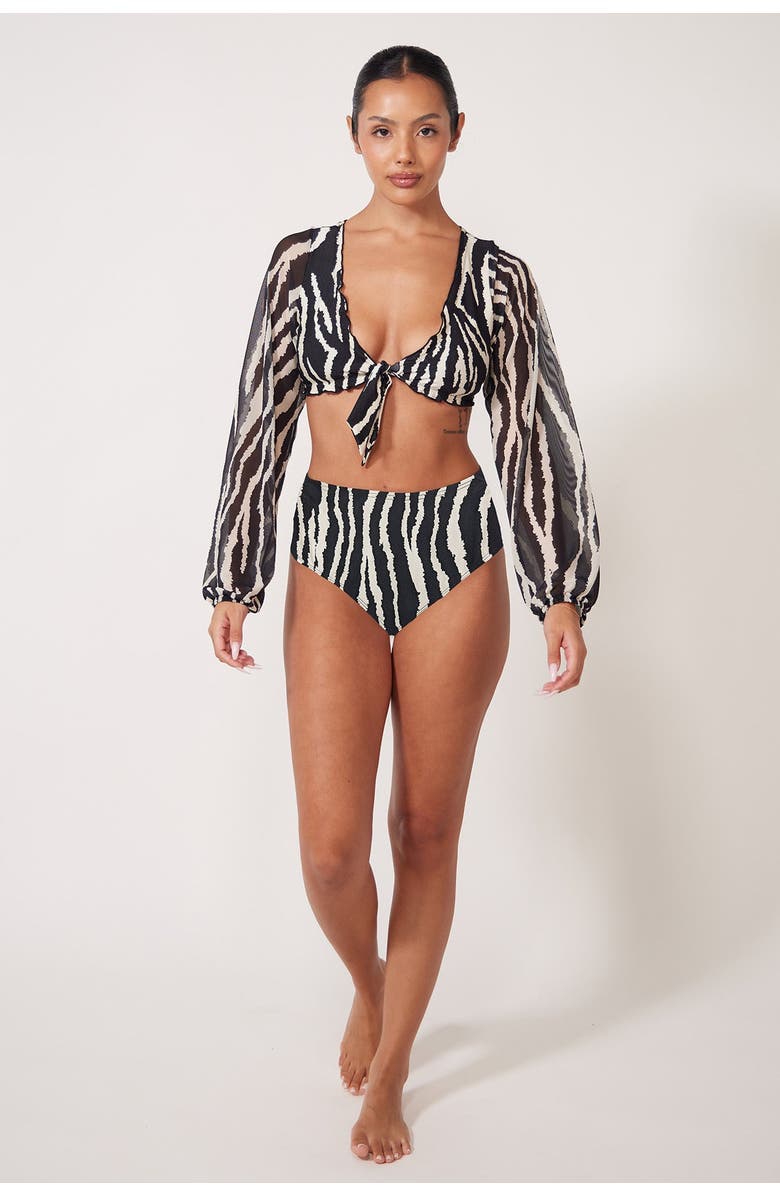 Villa Fresca Blake Bikini Swim Bottoms, Alternate, color, Zebra