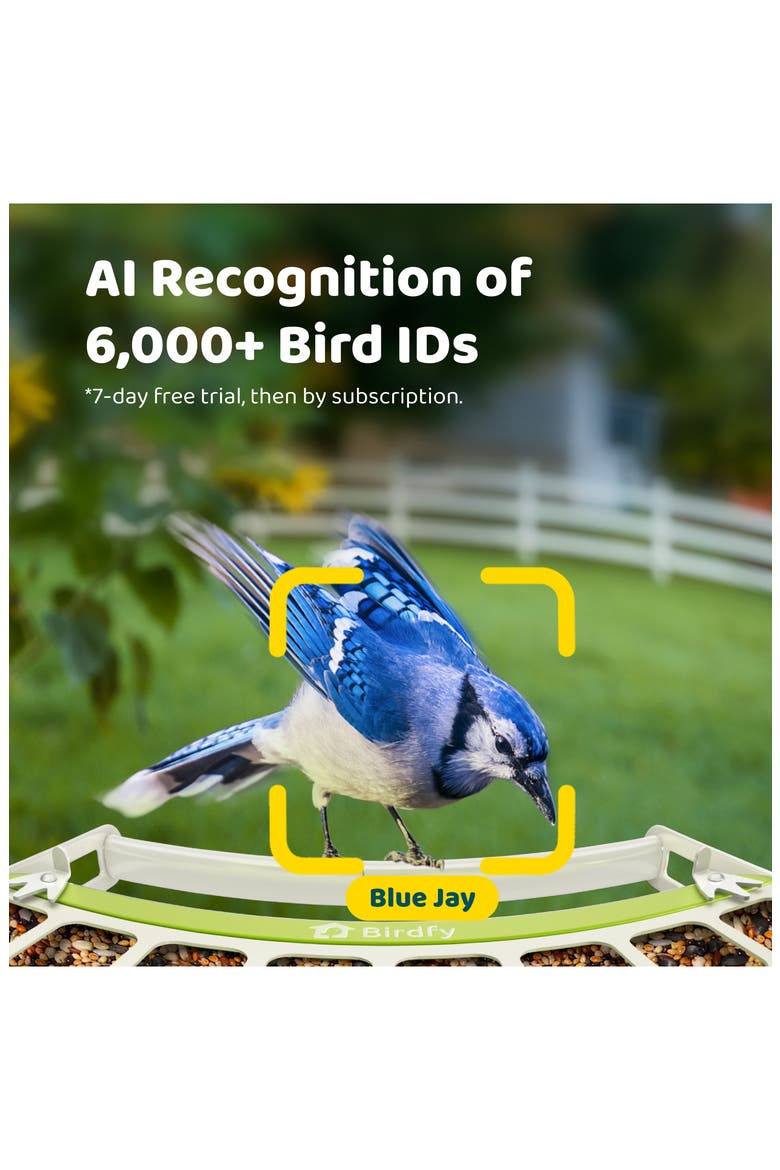 Smart Metal Bird Feeder with Camera, Alternate, color, GREEN