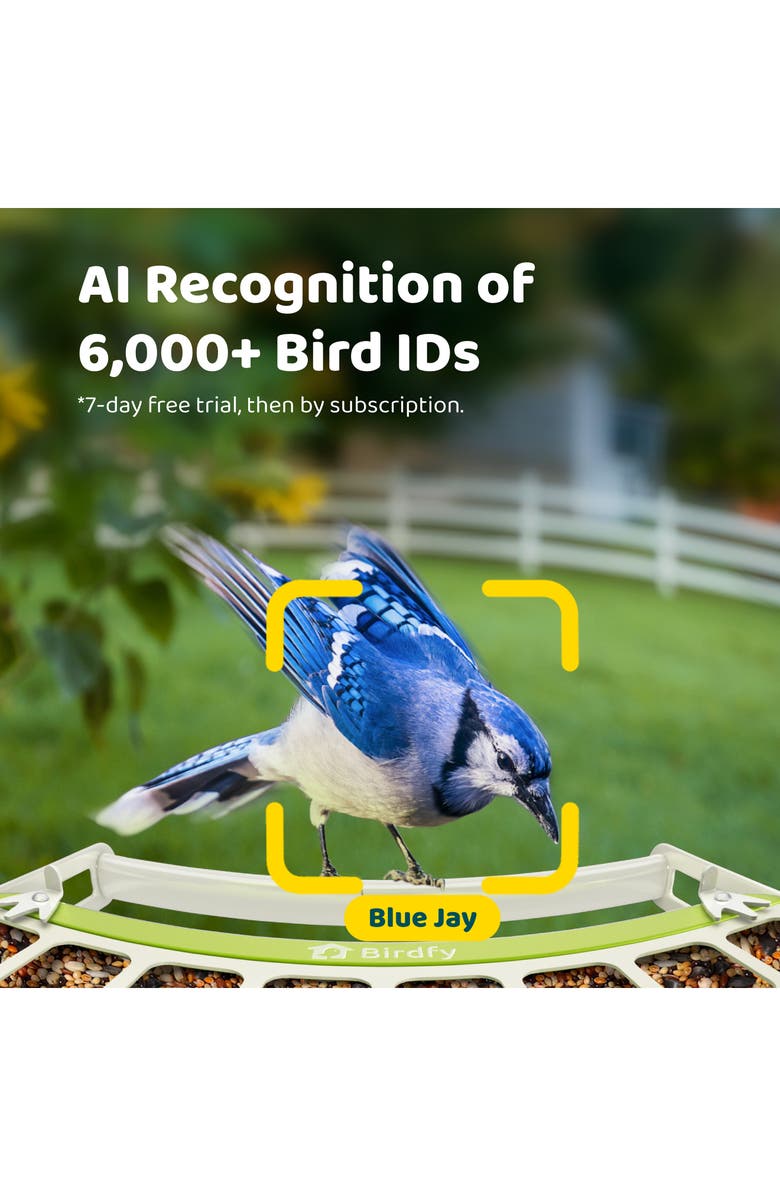 Birdfy Smart Metal Bird Feeder with Camera, Alternate, color, Green