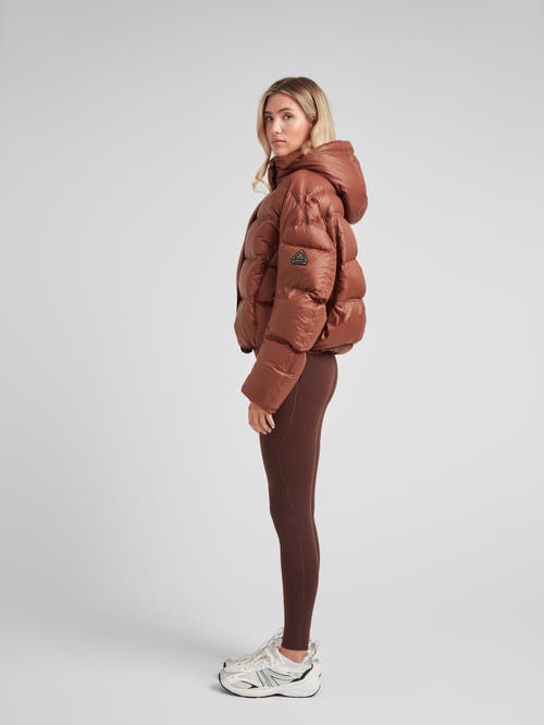 Jack1t Cloud Boss Hooded Puffer Jacket In Brown