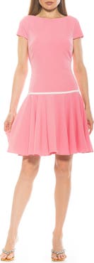 Alexia Admor Drop Waist Dress