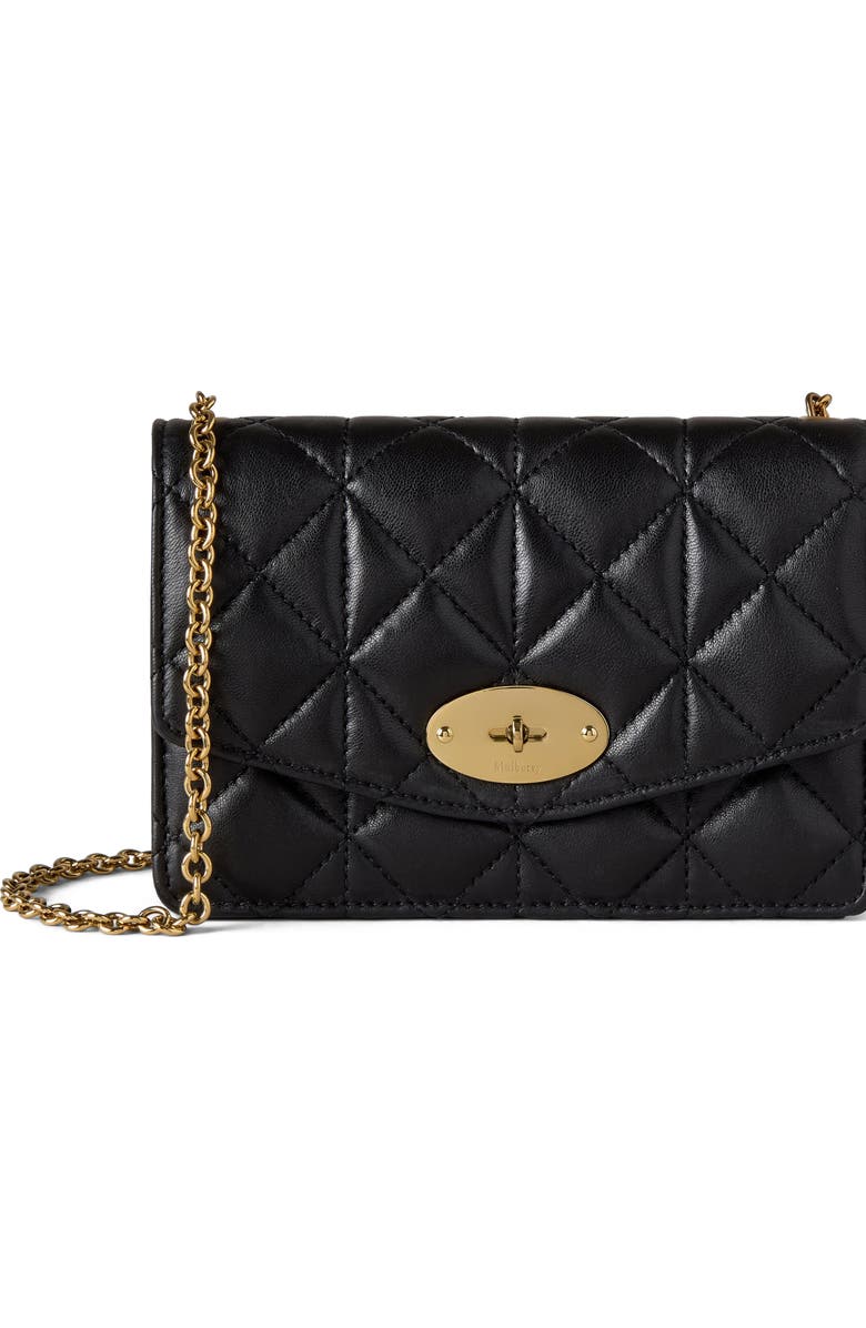 Mulberry Small Darley, Main, color,