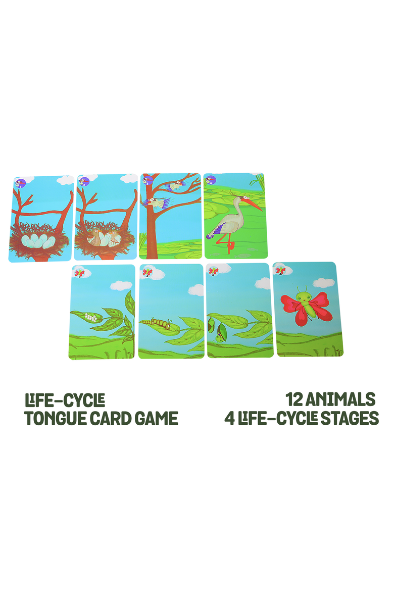 Chalk & Chuckles Stepping stone, Alternate, color, NO COLOR