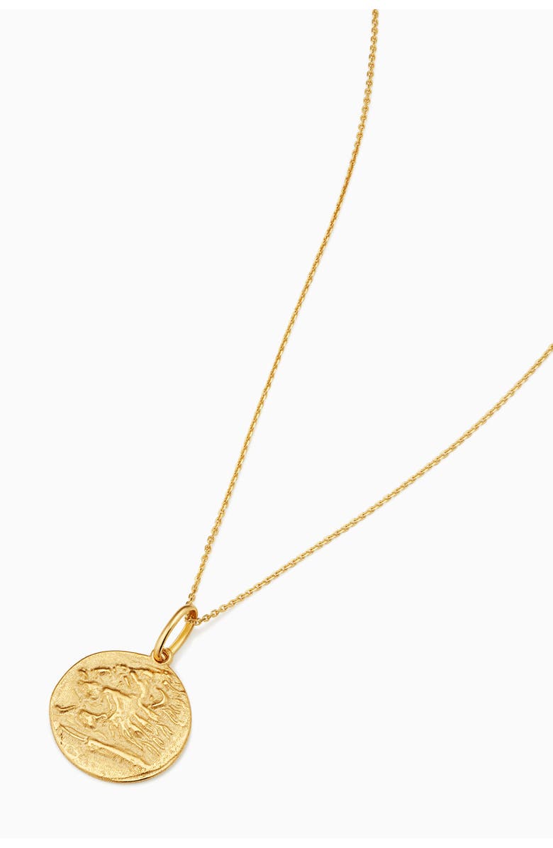 Oradina 14K Yellow Gold Greek Lion Medallion Necklace, Alternate, color, Yellow Gold