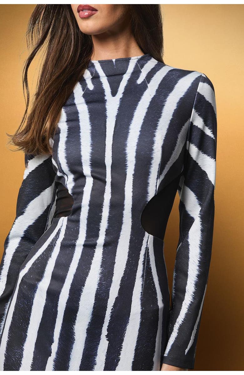 Coast Muse Printed Maxi Dress, Alternate, color, Mono