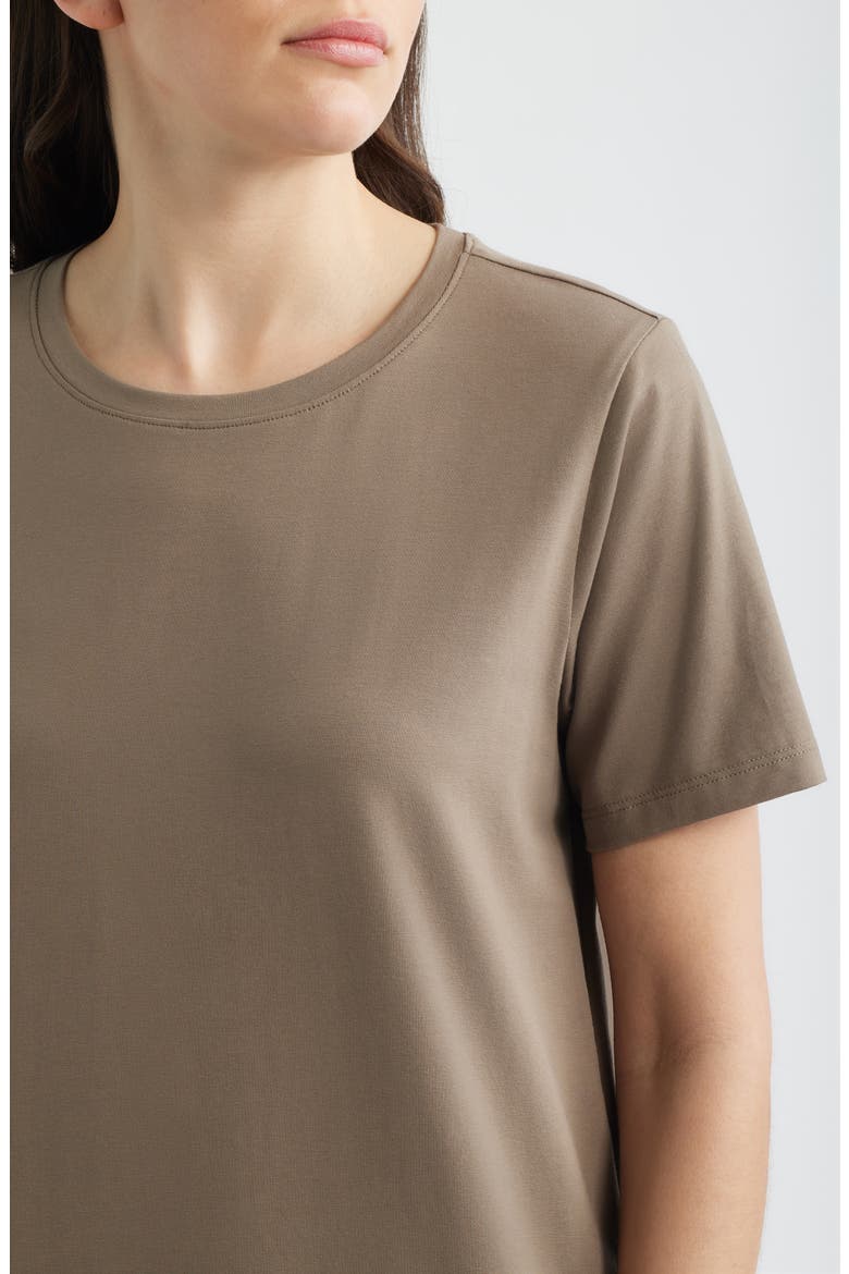 Maxi T-Shirt Dress, Alternate, color, WALNUT