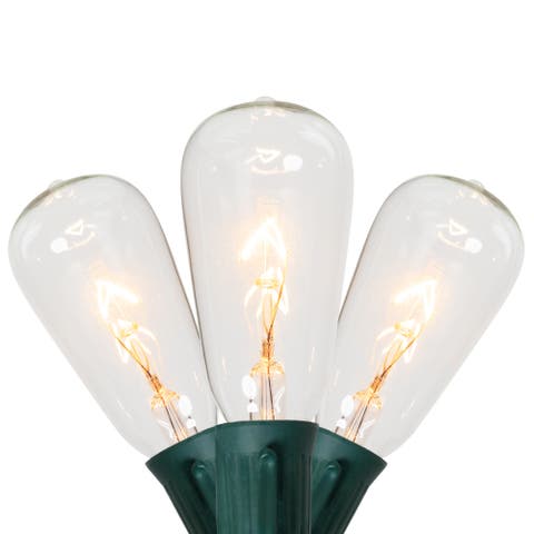 Edison Style ST40 Indoor Outdoor Patio Lights - Clear - 9' Green Wire - 10ct