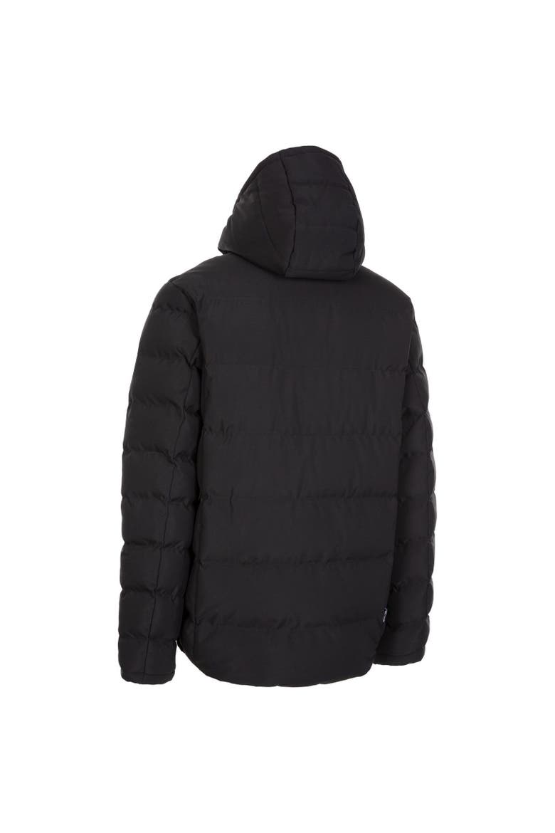 Habbton Padded Jacket, Alternate, color, Black
