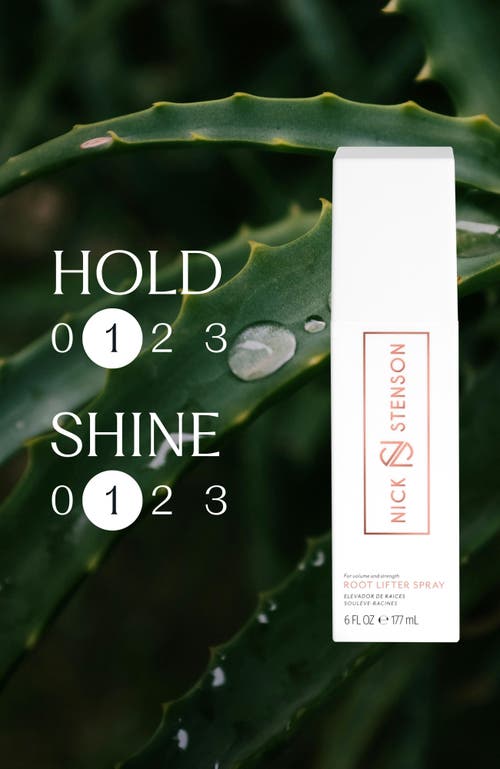 Nick Stenson Beauty Root Lifter Spray