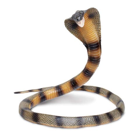 Cobra Toy
