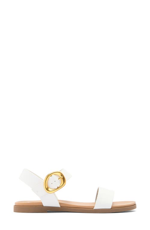 Shop Steve Madden Tacee Sandal
