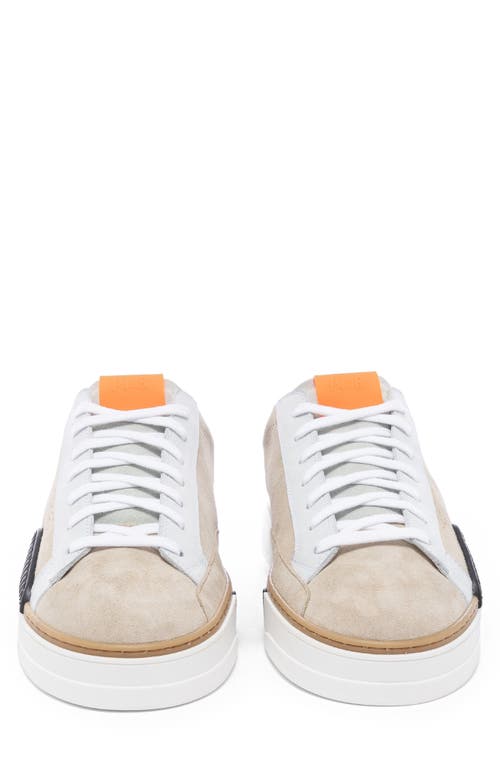 P448 Half Piper Low Top Sneaker In Neutral