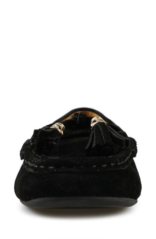 National Comfort Shell Suede Loafer In Black Suede