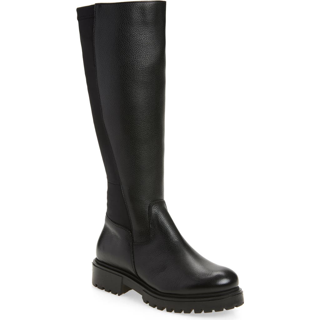 Chocolat Blu Frisco Knee High Boot In Black