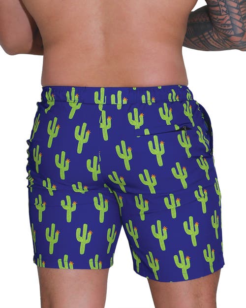 Mosmann Australia Board Shorts In Blue