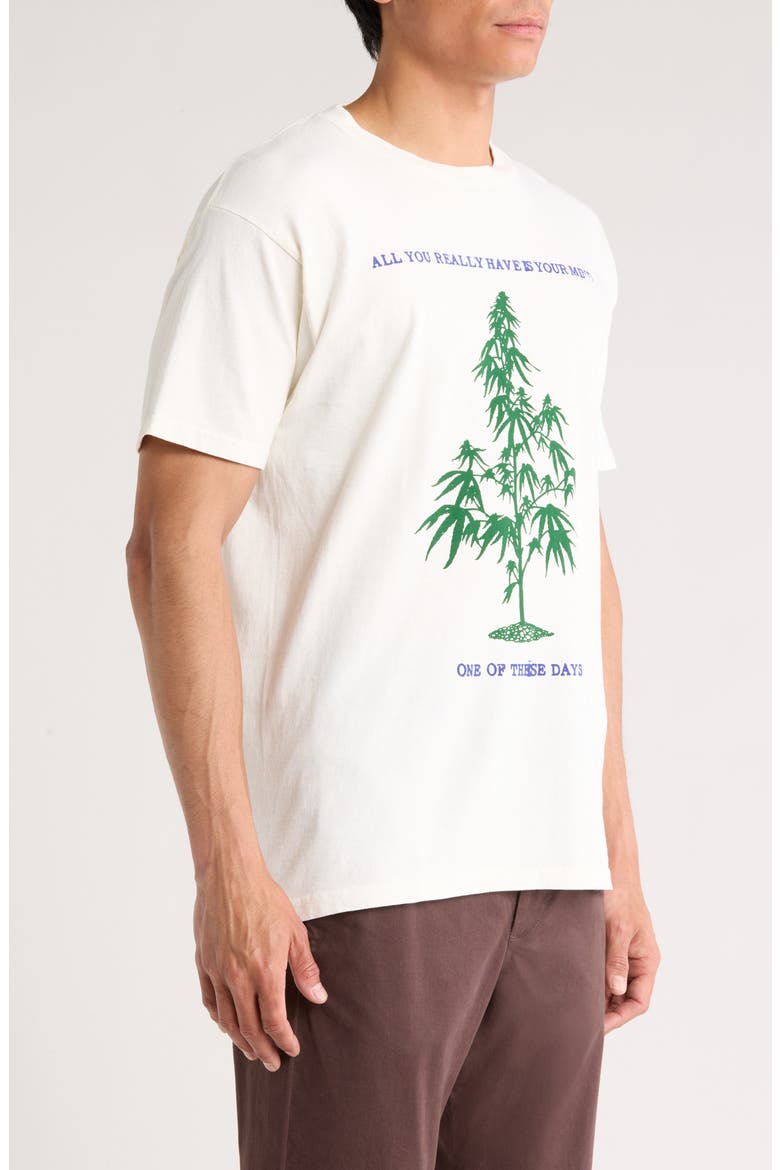 All You Really Have is Your Mind Graphic T-Shirt, Alternate, color, BONE