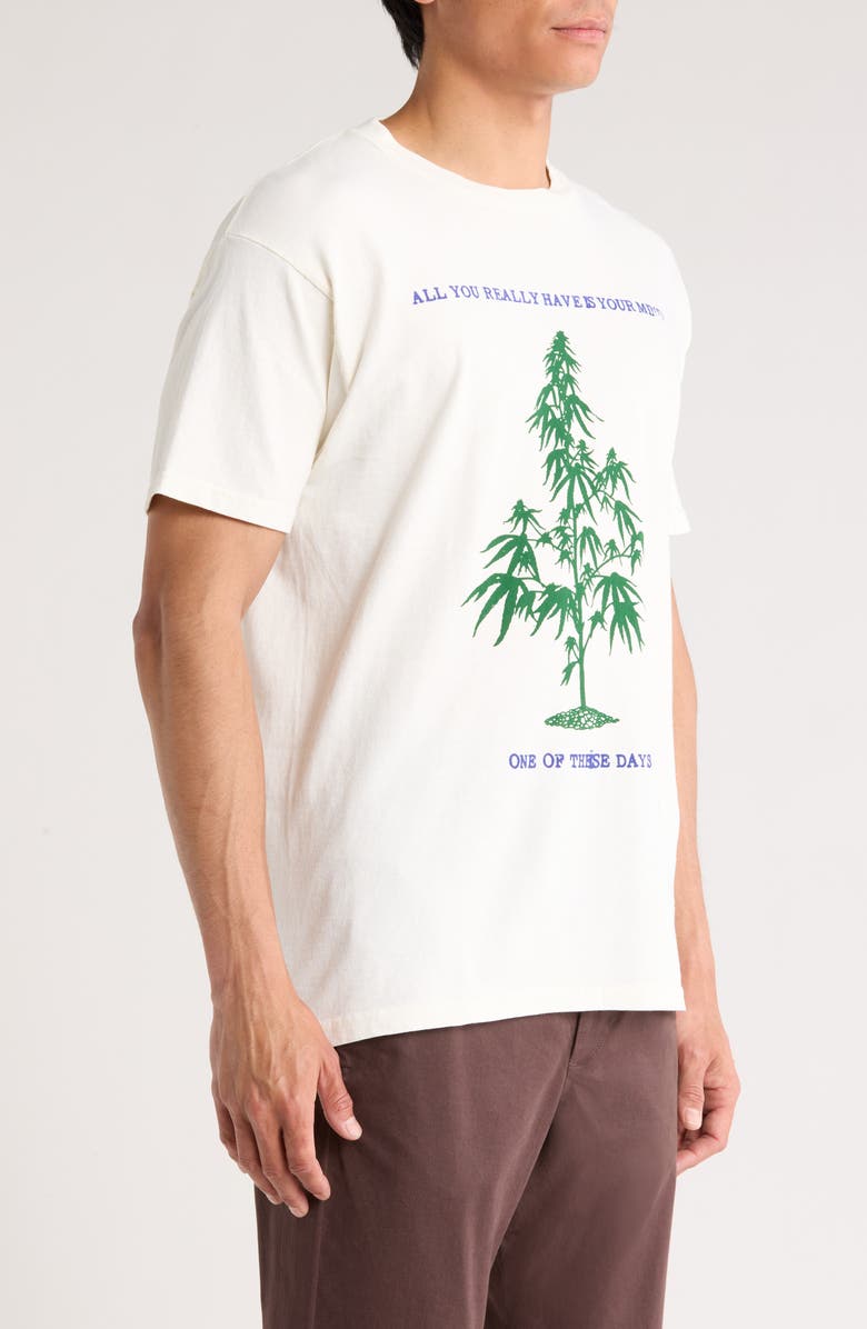 ONE OF THESE DAYS All You Really Have is Your Mind Graphic T-Shirt, Alternate, color, Bone
