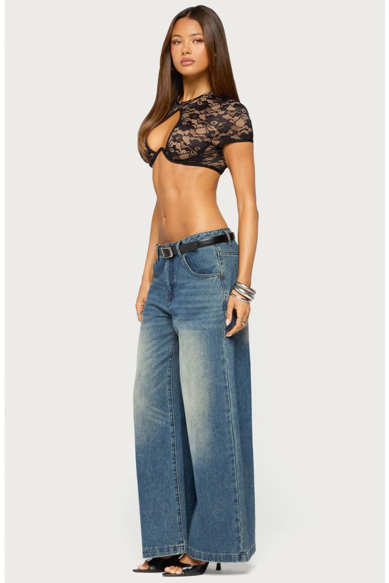Doli Keyhole Cutout Lace Crop Top, Alternate, color, BLACK