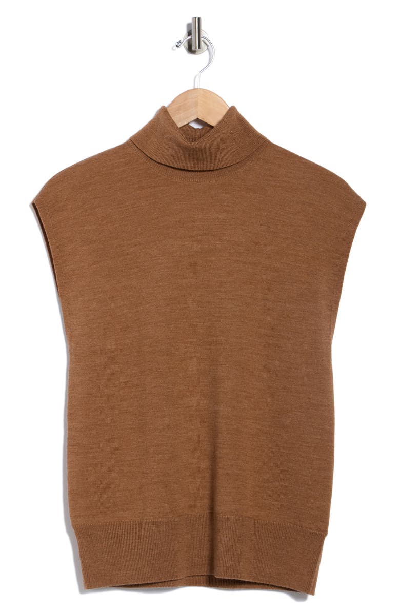Derek Lam 10 Crosby Turtleneck Knit Sweater, Alternate, color, Mocha Mousse