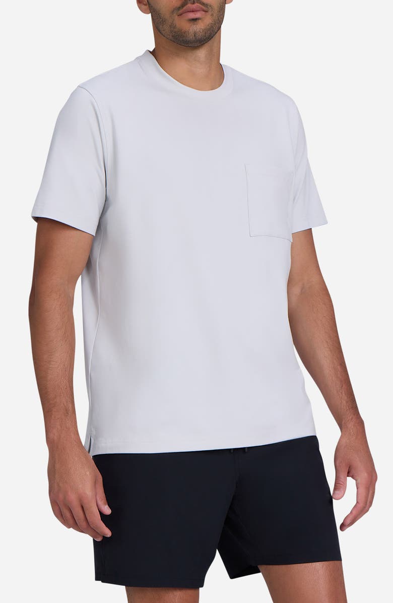 Bad Birdie Everyday Pocket T-Shirt, Alternate, color, Glacier Grey