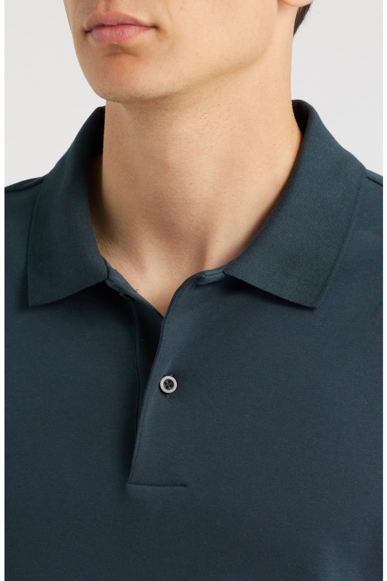 Long Sleeve Peached Cotton Jersey Polo, Alternate, color, COUNTRY RACER