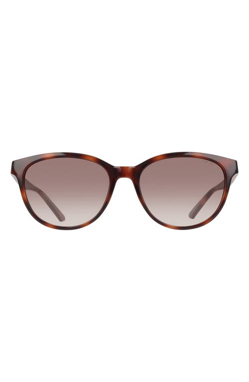 Nike Vital Trend 55mm Gradient Round Sunglasses In Gray