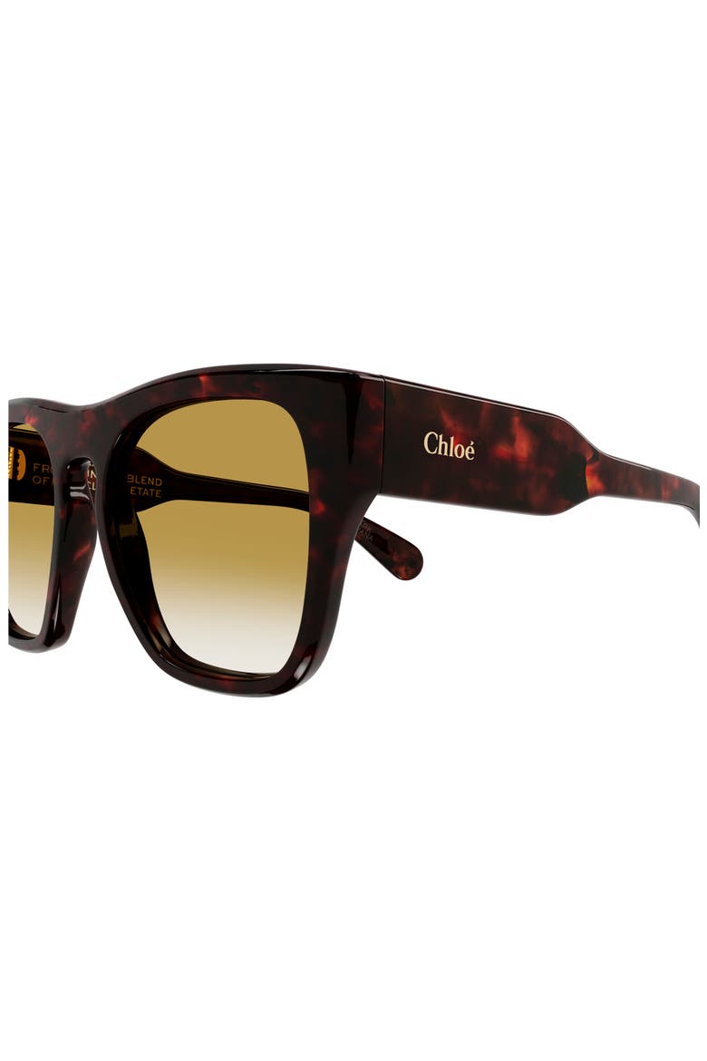 55mm Square Sunglasses, Alternate, color, HAVANA
