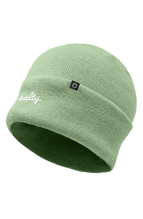 Dalix Salty Beanie Cap In Green