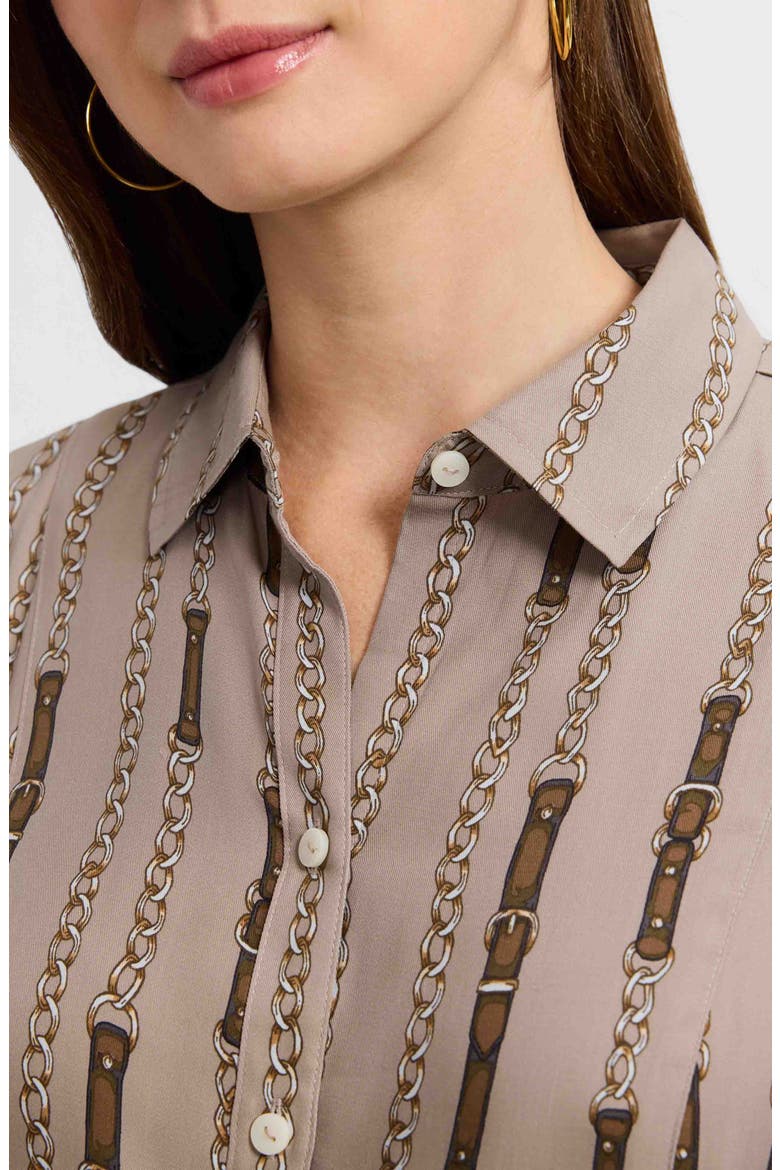 Fiona Chain Stripe Belted Shirtdress, Alternate, color, BROWN MULTI