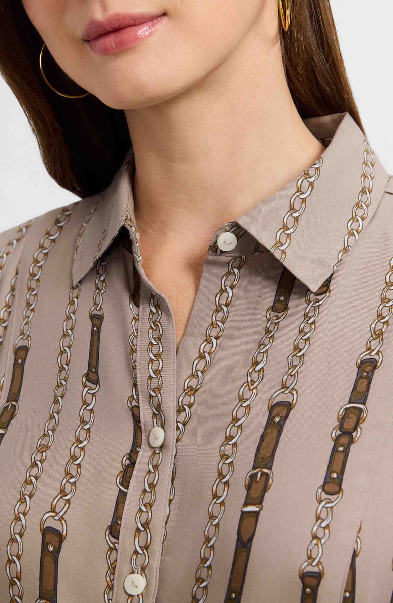 Foxcroft Fiona Chain Stripe Belted Shirtdress, Alternate, color, Brown Multi