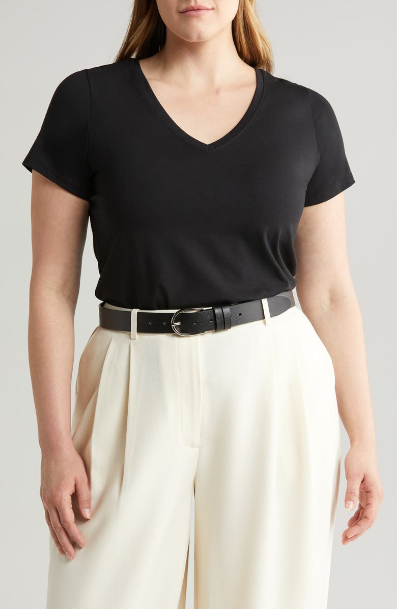 Nordstrom Everyday V-Neck Pima Cotton Blend T-Shirt, Main, color, 