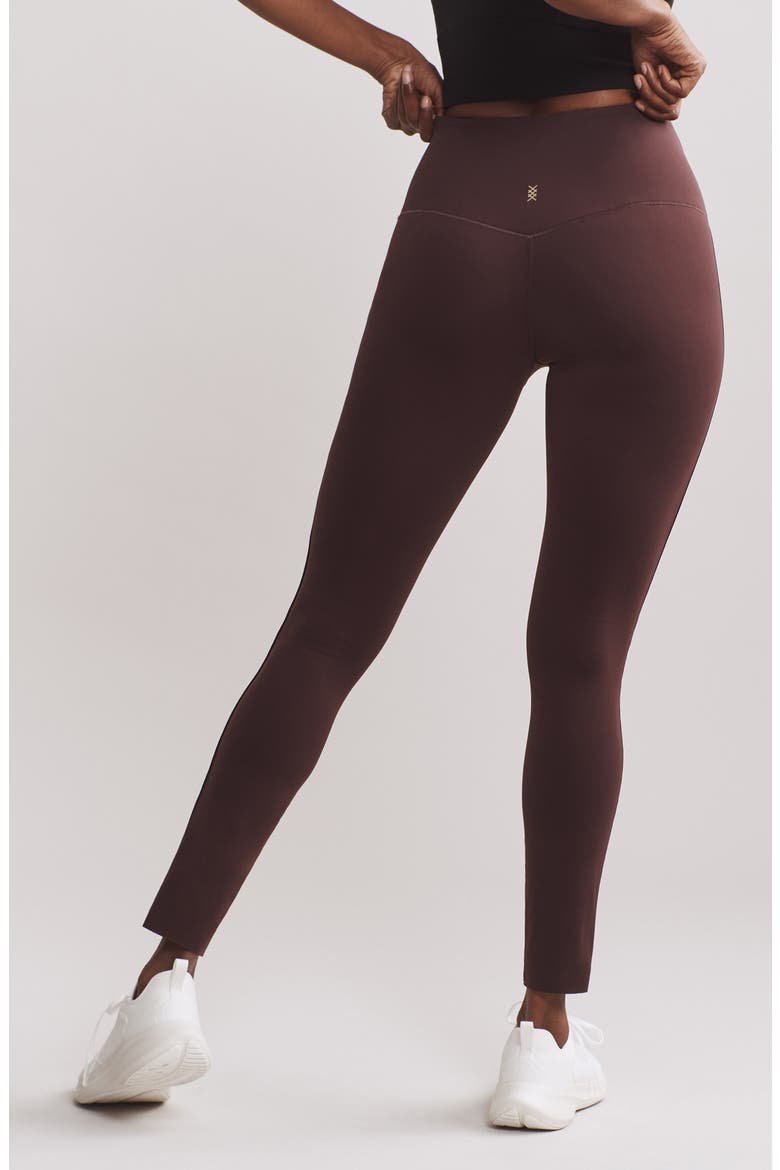 Alpine Fleece Leggings, Alternate, color, BROWN BERRY