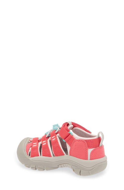 Keen Kids' Newport H2 Sandal In Raspberry/pink-a-boo