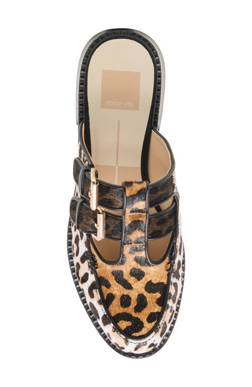 Dolce Vita Haydee Double Buckle Mary Jane Mule
