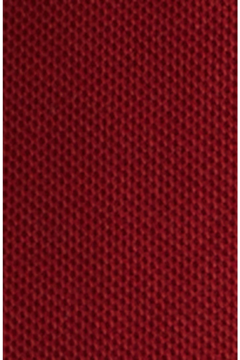 Eddie Check Trim Cotton Piqué Polo, Alternate, color, AUBURN BROWN