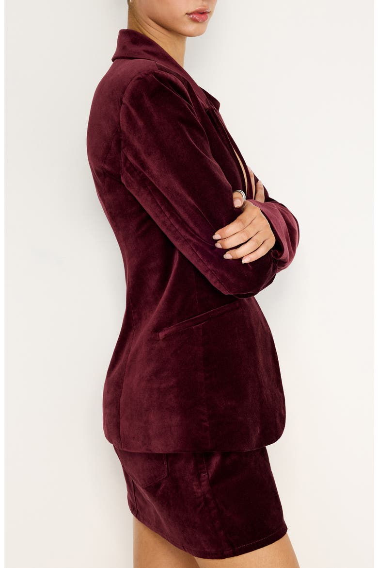 Sculpted Velvet Blazer, Alternate, color, OXBLOOD002