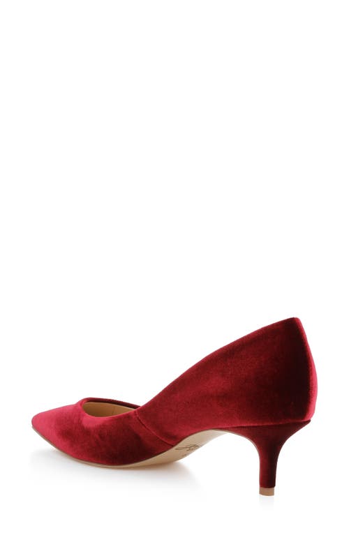 Jewel Badgley Mischka Enola Pointed Toe Kitten Heel Pump