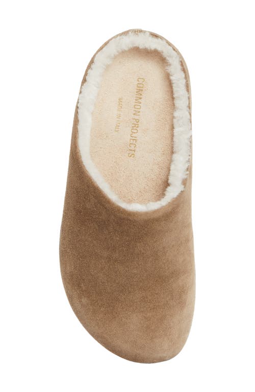 Common Projects Suede & Genuine Shearling Clog In Brown