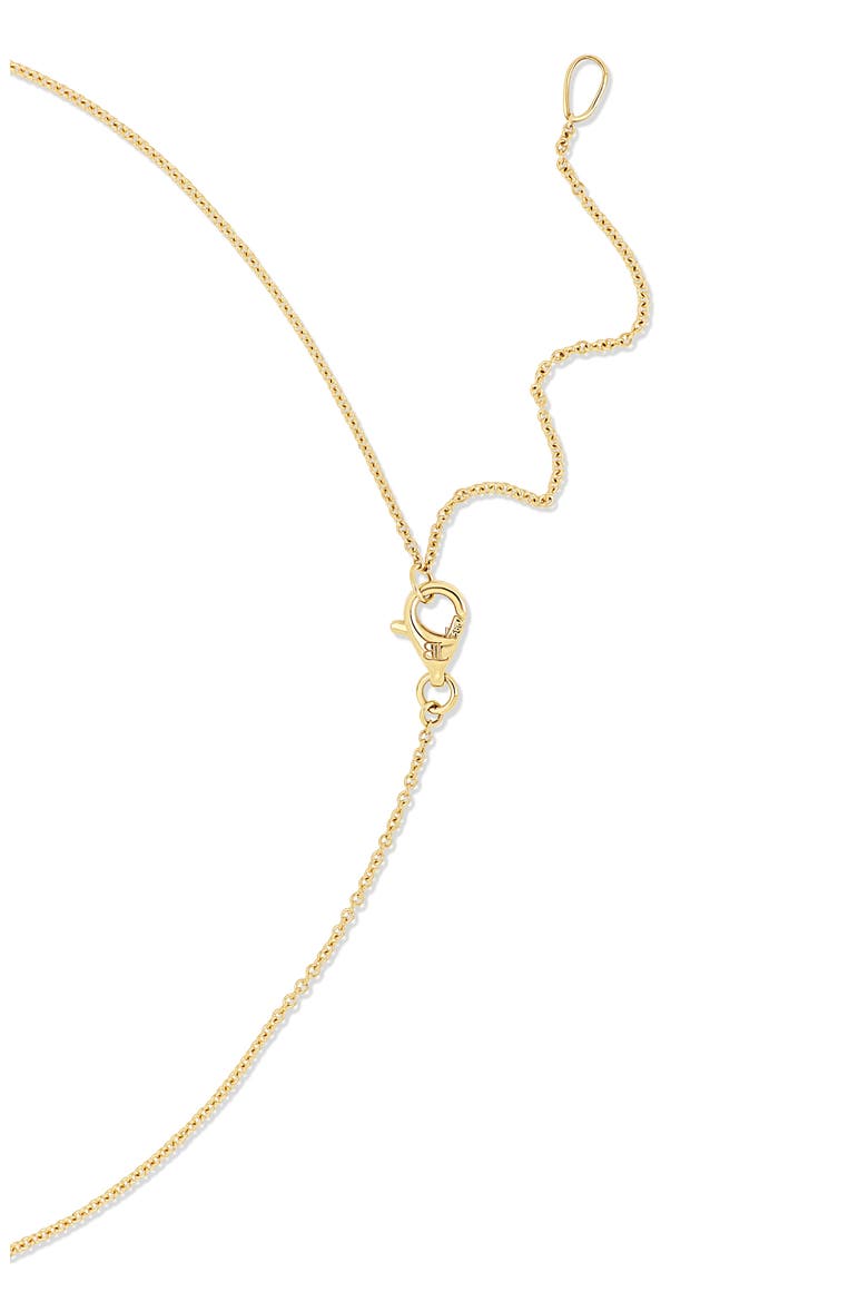 18K Gold Liora Natural Dancing Diamond Medallion Pendant Necklace, Alternate, color, 18K YELLOW GOLD