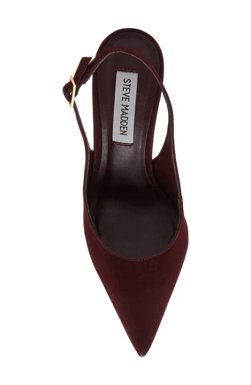 Steve Madden Blare Slingback Pointed Toe Pump In Burgundy