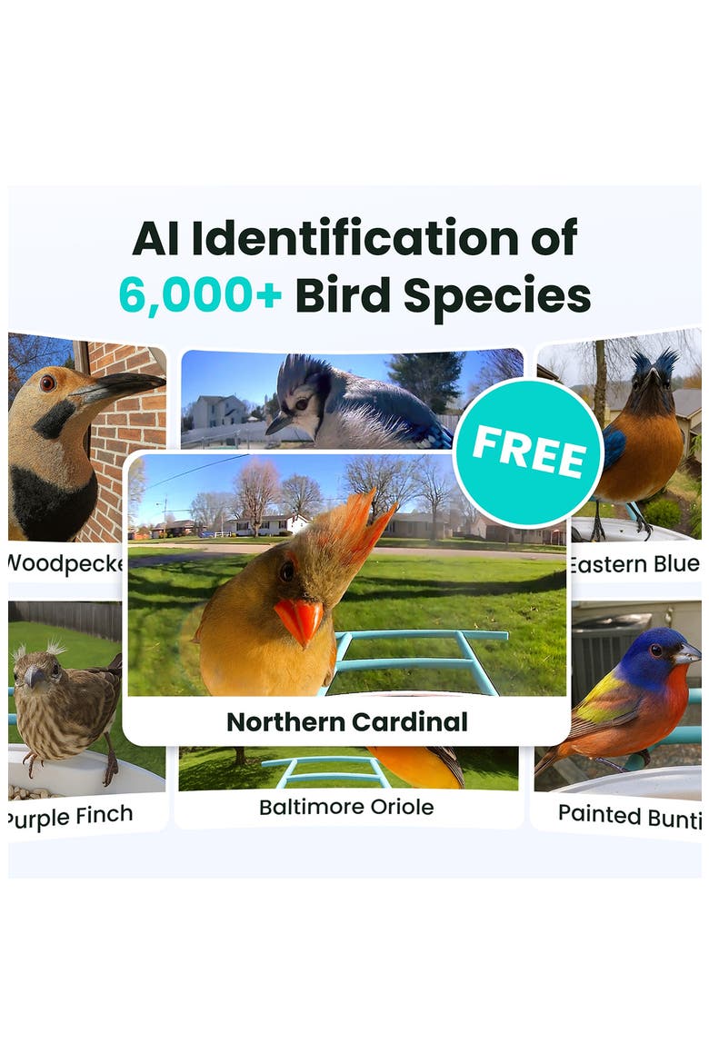 AI Smart Bird Feeder, Alternate, color, NO COLOR