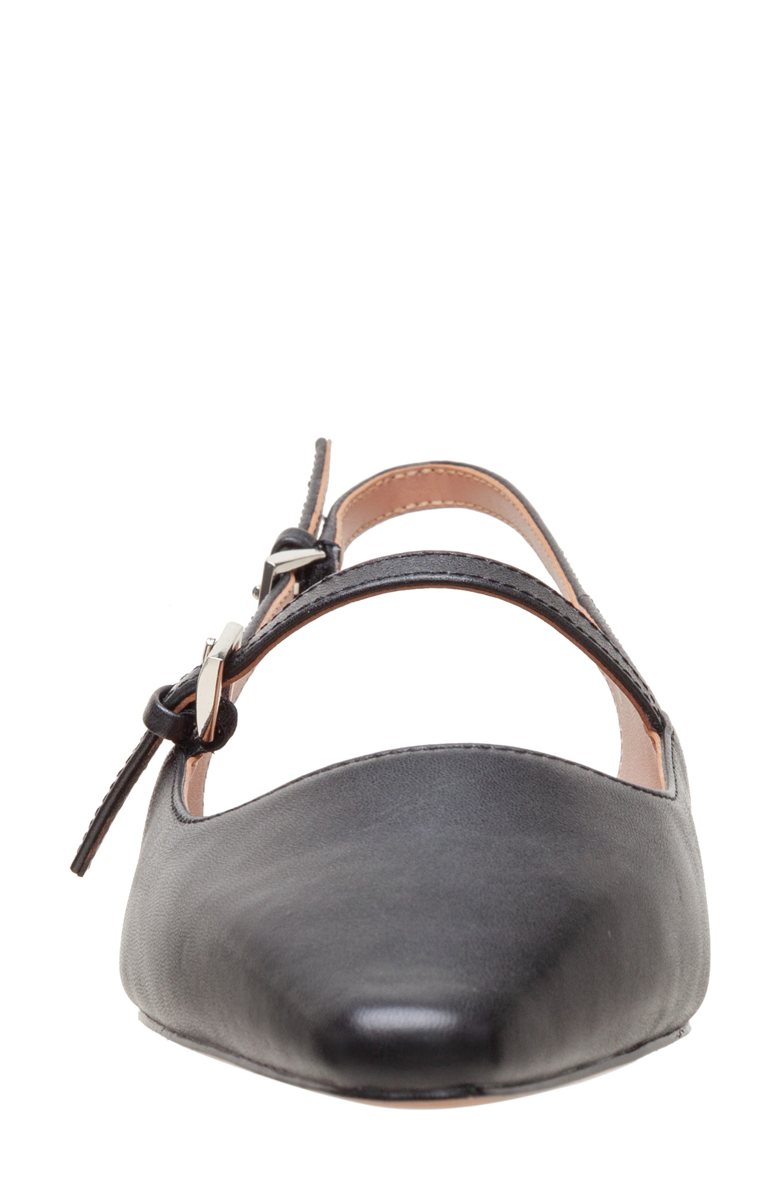 Linea Paolo Celeste Slingback Pointed Toe Flat, Alternate, color, Black