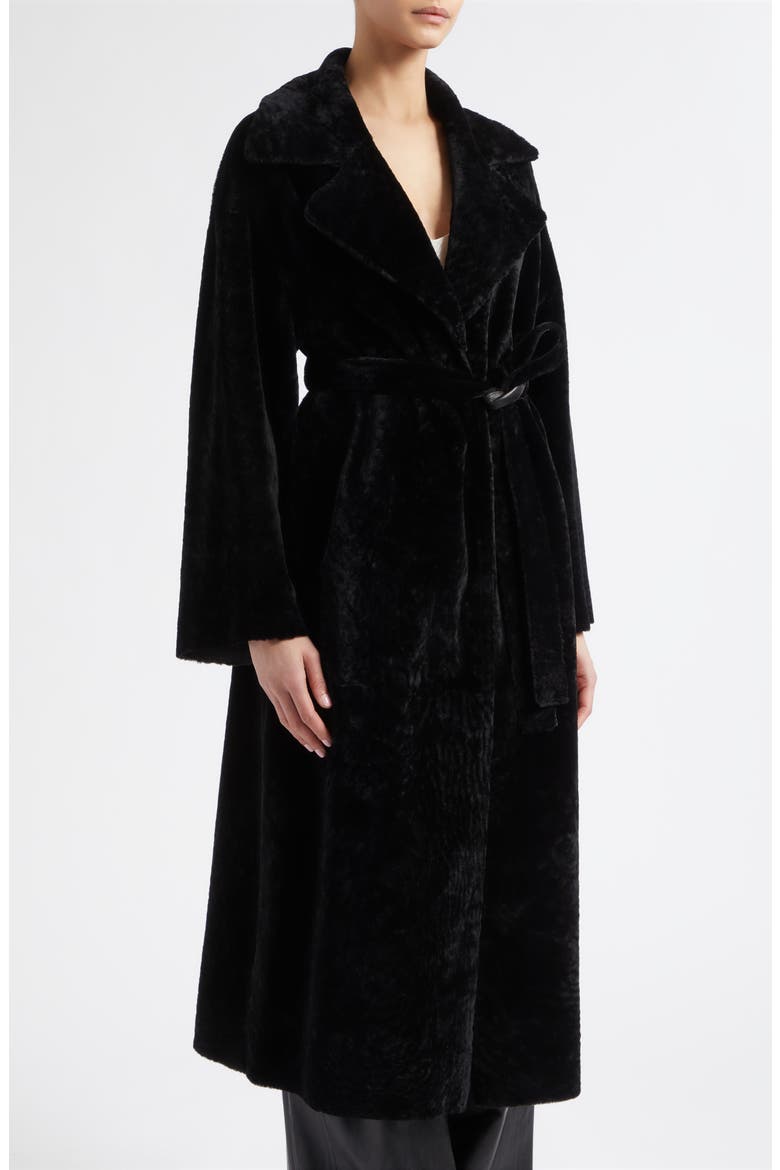 Rien Genuine Shearling Coat, Alternate, color, BLACK