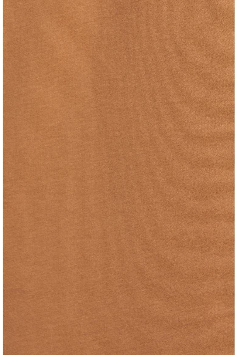 Santo Cotton Graphic Boyfriend Tee, Alternate, color, CONKER BROWN
