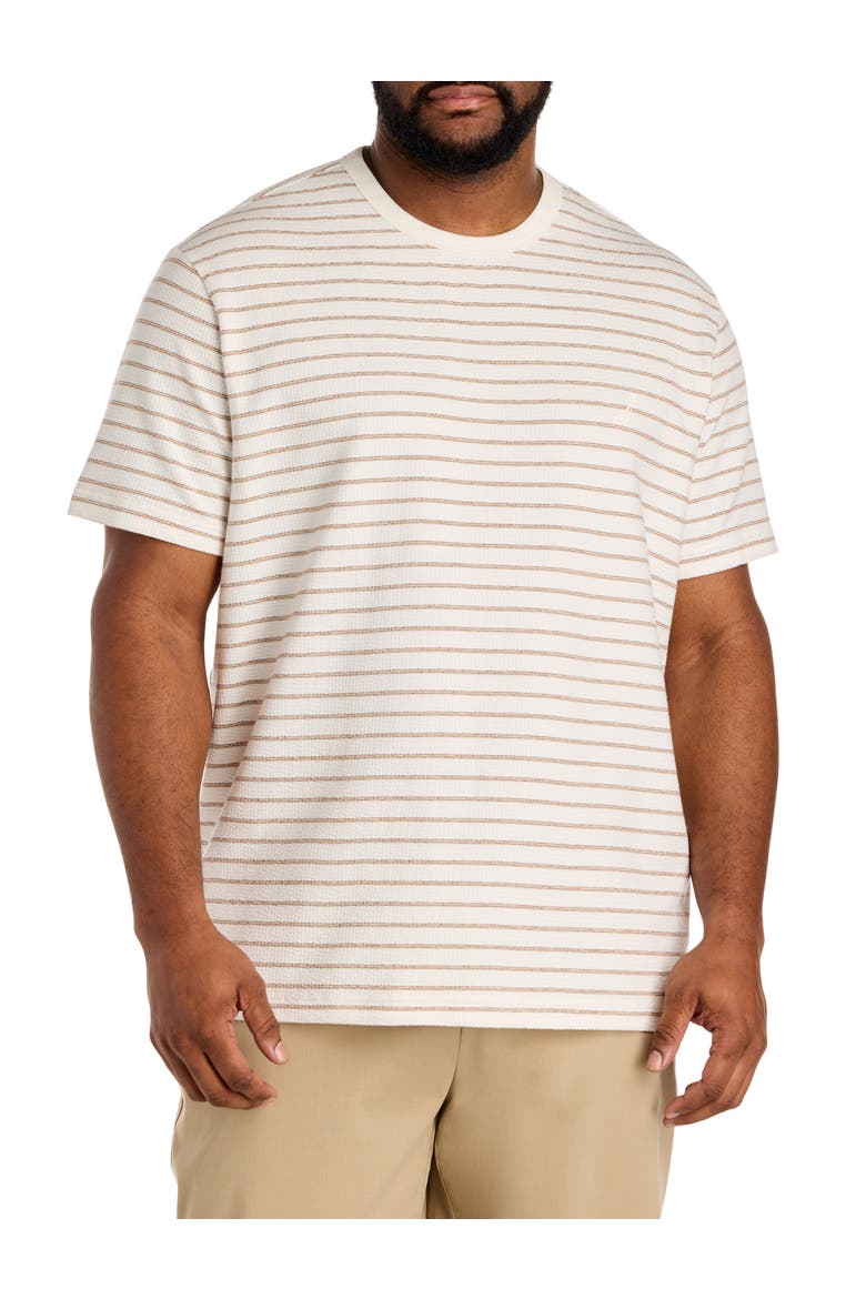 Big & Tall Textured Striped Crewneck T-Shirt, Main, color, SAIL WHITE