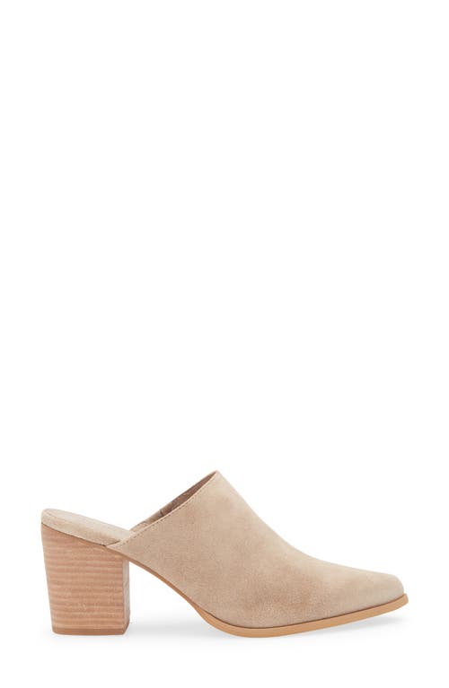 Chocolat Blu Emery Pointed Toe Mule In Brown