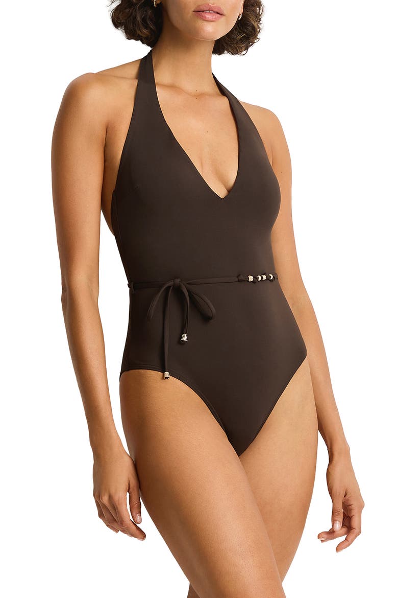 De Luxe V-Neck Halter One-Piece Swimsuit, Alternate, color, ESPRESSO