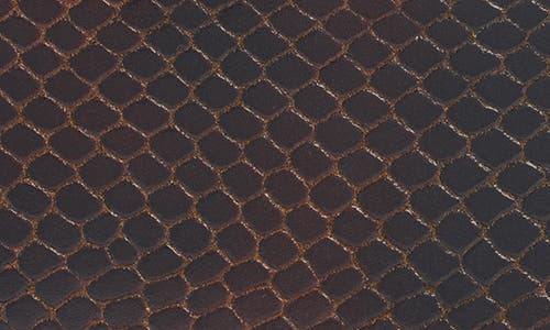 Dries Van Noten W.l. Snake Print Leather Card Case