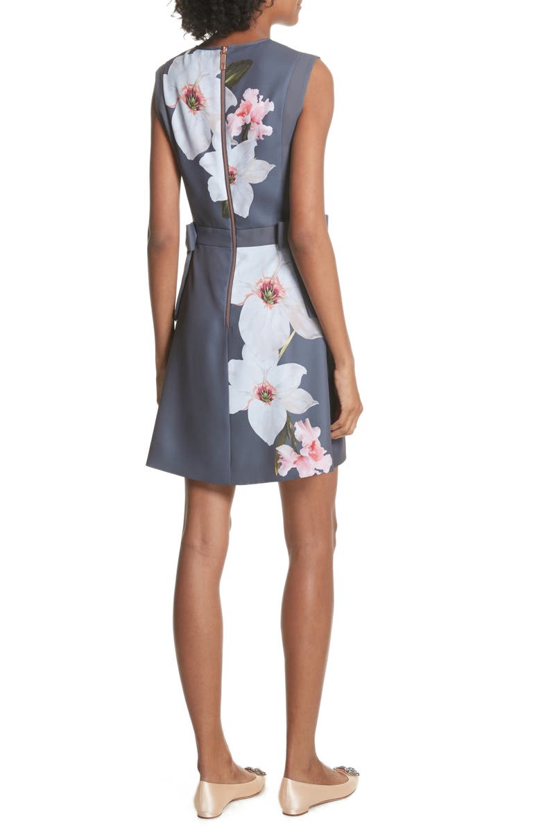 Ted Baker London Chatsworrth A-Line Dress, Alternate, color,