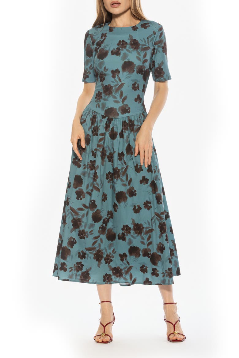 Rowan Crewneck Midi Dress, Main, color, BLUE FLORAL